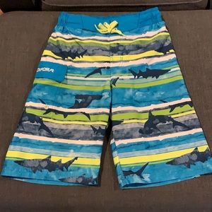 ZeroXposur Boy’s Swim Trunks, Size Med (10-12)